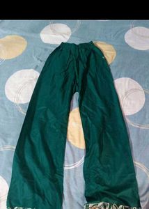 Green Palazzo Pants with Print