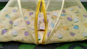Strawberry Baby Bassinet