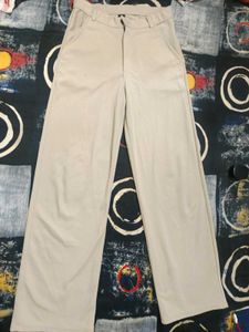 beige  Wide-Leg Pants