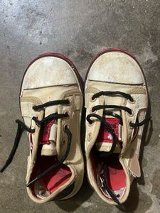 Cute Canvas Sneakers