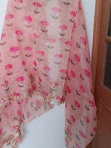 Suit With Cutt Wark Dupatta
