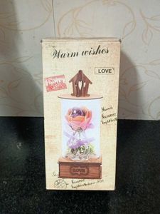 SHOWPIECE Enchanting "I Love You" Dome Display