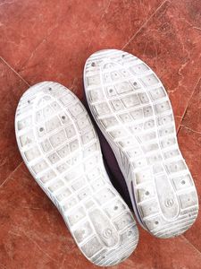 Women's Shoe
