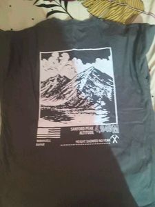 SHEIN Grey Graphic T-Shirt