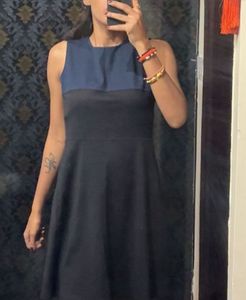 Chic Two-Tone Sleeveless Dress