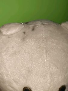 Large White Teddy Bear