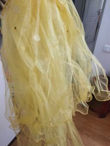 Elegant Golden veil with Floral Embellishments