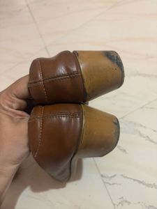Metro Elegant Brown Bellies with Gold Buckle