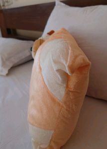 Cute Small Pillow