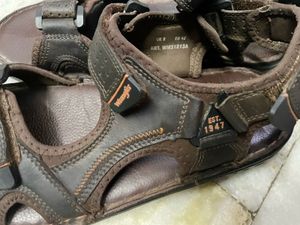 Wrangler Men's Brown Leather Sandals