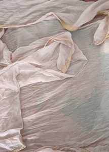 Light Pink Dupatta with Gold Border