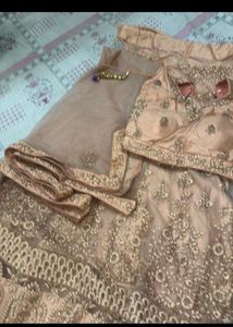 elegant lehnga choli