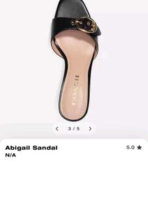 Black Heeled Mules with Gold Buckle