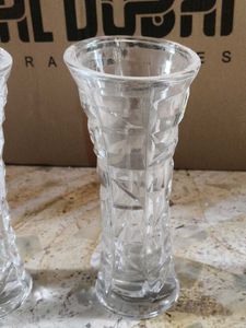 Set of 2 Clear Glass Vases