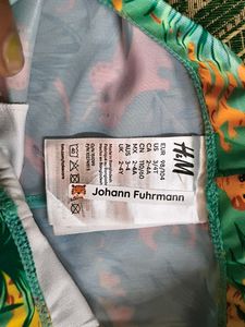 Kids Dino Print Swim Shorts