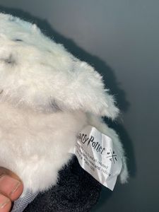 Hedwig Owl Harry Potter