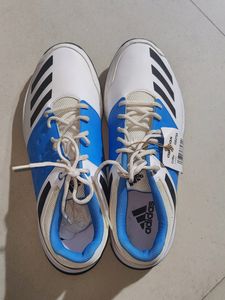 Adidas Men's Casual Shoes. Unused. No Offered Coin
