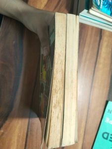 Fiction Books - The Goofies &amp; Viola