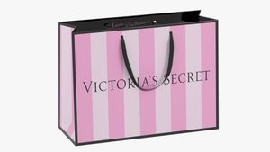 Victoria's Secret Shopping Bag