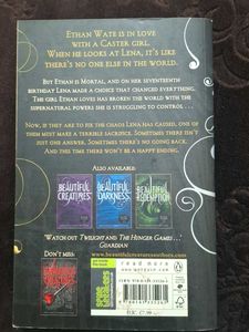 Beautiful Chaos Book