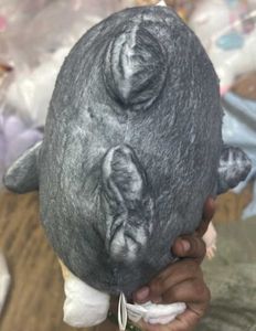 Cute Cat Shark Plush Toy