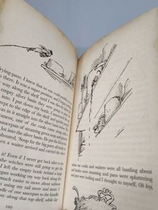 Roald Dahl - The Witches