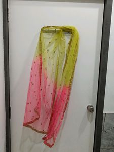 Vibrant Lime Green Embroidered Skirt and dupatta