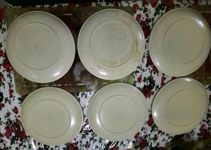 6 MELAMINE PLATES