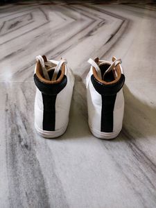 White Gucci High Top Sneakers For Men &amp; Women