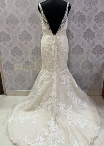 Stunning Lace Bridal Gown