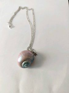 Enchanting Spiral Seashell Necklace