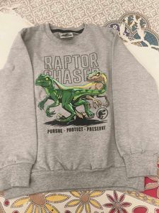 Raptor Chase Kids Sweatshirt
