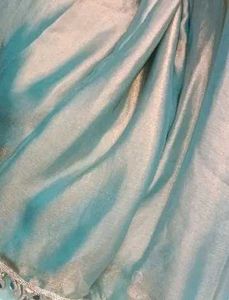 Stylish Shimmery Saree