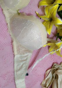 Very Sexy And Beautiful Comfortable Bra With Brief