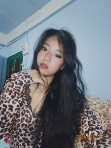 Leopard Print Lace Trim Top