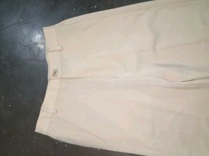 Classic Beige Casual Trousers