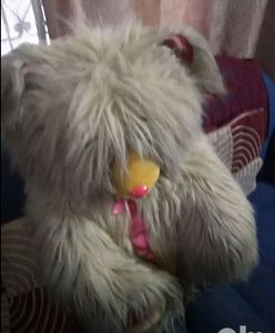 Big  Teddy Bear