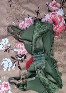 Stylish Green Lace