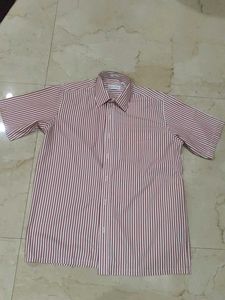 Red Stripes In White Colour Short-Sleeve Shirt