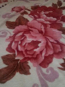Blanket