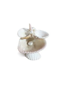 real Seashell Jewelry Organizer tray