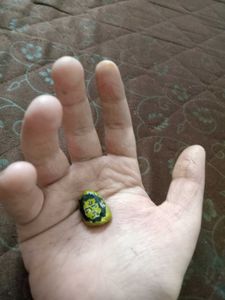 Hand-Painted Lion Face Stone Art