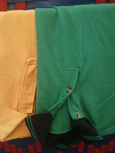 Men's Polo Shirts - Green & Yellow