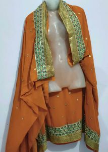 Orange saree with Sequins