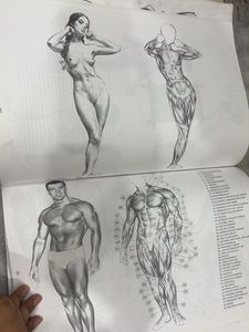 Figure Study Made Easy Book