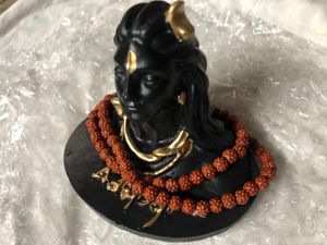 Adiyogi Shiv Statue🕉️📿