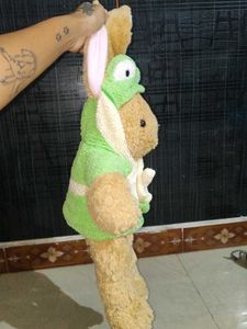Build a Bear Rabbit with clothes