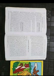 The Diary of a Young Girl &amp; Panchatantra