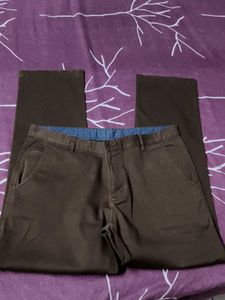 Walvis Men's Cotton Brown Pant