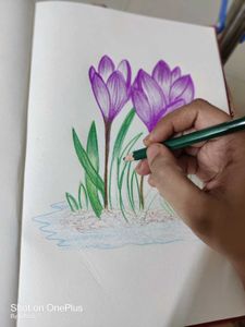 Floral Sketch (Drawing/Painting)